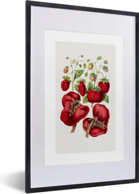 Produktbild von MuchoWow® Gerahmtes Poster Lebensmittel - Erdbeeren - Obst 40x60 cm - Poster mit Schwarzem Bilderrahmen Wandposter Rahmen Foto Bilder - Poster in Rahmen