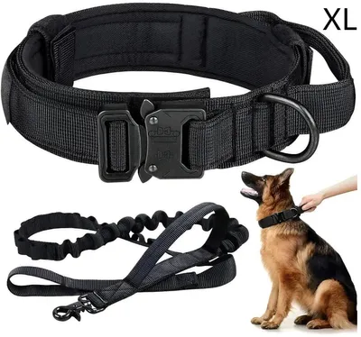 Produktbild von Hundehalsband XL (50-62 cm) & Halsband Leine Set - Verstellbares Hundehalsband für Große Hunde - Strapazierfähiger Hundehalsband Schwarz Heimtierbedar
