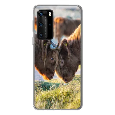 Produktbild von MuchoWow® Handyhülle Schutzhülle Hülle für Huawei P40 Pro Schottische Highlander - Tiere - Sonne Silikon Softcase Handy Hülle - Schutz
