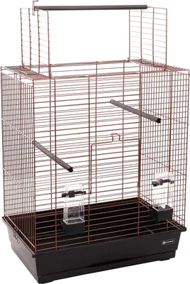 Image de Flamingo cage perruche Halura cuivre/noir
