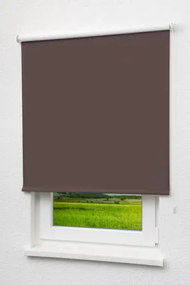 Produktbild von Lysel - Qualitätsrollo abdunkelnd dunkelbraun, (B x H) 93cm x 190cm in braun/dunkelbraun