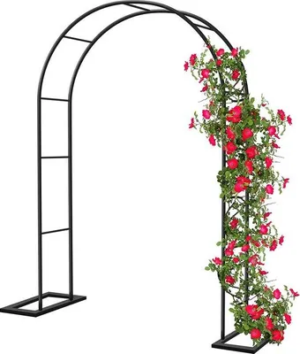 Produktbild von Famanu Gartenbogen für Kletterpflanzen - Metall, stabil, dekorativ