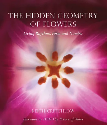 Produktbild von Hidden Geometry of Flowers