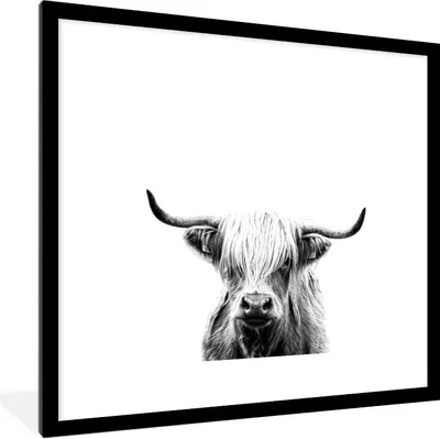 Produktbild von MuchoWow® Gerahmtes Poster Schottischer Highlander - Horn - Schwarz - Weiß 40x40 cm - Poster mit Schwarzem Bilderrahmen Wandposter Rahmen Foto Bilder - Poster - Plakat im Rahmen
