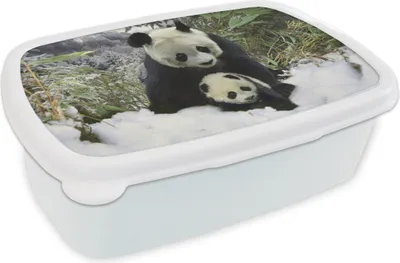 Produktbild von KitchenYeah® Lunchbox Brotzeit Brotdose 17x11 cm Panda - Jungtier - Schnee Kinder Brotzeitdose - Lunch Box - Kinder - Sandwich-Box - Schulbox - Lunch Boxen