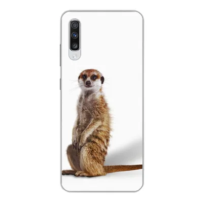 Produktbild von MuchoWow® Handyhülle Schutzhülle Hülle für Samsung Galaxy A70 Erdmännchen - Tiere - Fell Silikon Softcase Handy Hülle - Schutzhaube