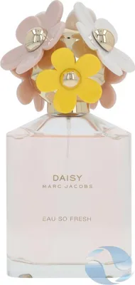 Obrázek produktu pro Marc Jacobs Daisy Eau So Fresh, Ženy, 125 ml, Nedoplnitelná lahvička, Grapefruit,Pear, Violet (flower),Wild rose, Cedr, Pižmo
