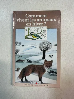 Image de Comment vivent les animaux en hiver ?