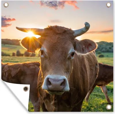 Produktbild von MuchoWow® 50x50 cm Outdoor-Poster Gartendeko Sichtschutz Garten Poster für den Garten  Kühe - Sonne - Wiese - Landleben