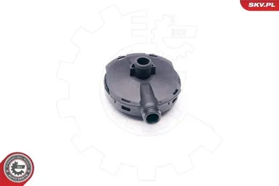 Produktbild von ESEN SKV 31SKV021 Ventil Kurbelgehäuseentlüftung PCV für AUDI A6 Avant (4F5, C6)