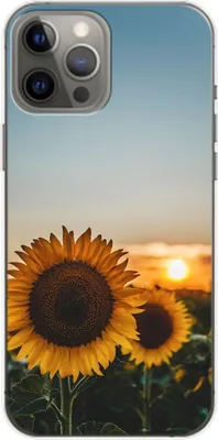 Produktbild von König Design Hülle kompatibel mit Apple iPhone 14 Plus Kunststoff Soft Handyhülle - Handy Case Sonnenblumen