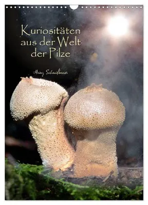 Produktbild von Kuriositäten aus der Welt der Pilze (Wandkalender 2027 DIN A3 hoch), CALVENDO Monatskalender