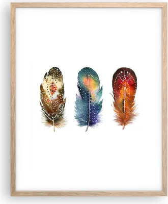 Produktbild von Gerahmtes Poster - Rahmen in heller Eiche - Feder Vogel Farbe - 40x50 cm - Wand Bild - Wanddeko - Wandbilder - Kunstposter - Wandposter - Bilderrahmen - Bilder - Kunstdruck - P2NPA40x50-4927