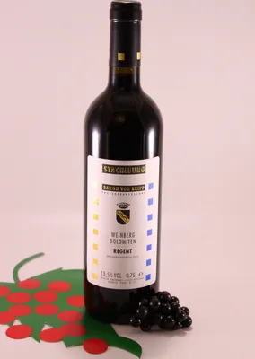 Immagine prodotto di Vinschgauer Regent - 2019 - Stachlburg Schloßweingut
