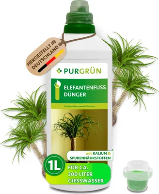 Produktbild von Purgrün Elefantenfuß-Dünger 1 Liter,