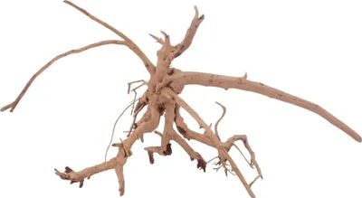 Produktbild von L Siennawurzel Nr.3282 Wurzel Holz Aquarium Deko Aquascaping