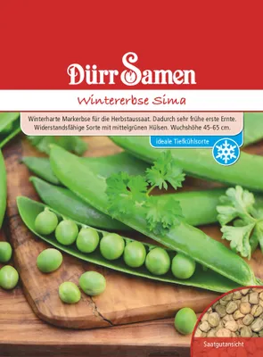 Produktbild von Wintererbse Sima | Wintererbsensamen von Dürr Samen