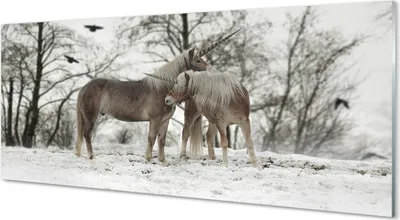 Produktbild von Glasbilder 125x50 Wandkunst Winterwald Einhörner