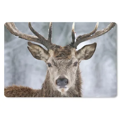 Produktbild von MuchoWow® Schreibtischunterlage Hirsche - Geweihe - Schnee 60x40 cm - XXL Mauspad - Großes Mauspad