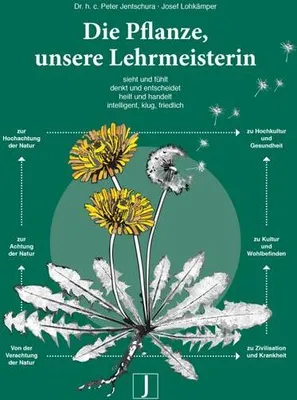 Obrázok produktu pre Die Pflanze, unsere Lehrmeisterin