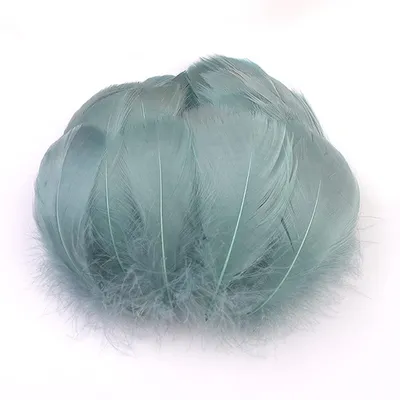 100 bunte Naturfedern zum Basteln, Gänsefedern, 7-12 cm