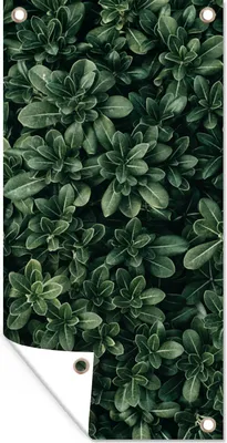 Produktbild von MuchoWow® 40x80 cm Outdoor-Poster Gartendeko Sichtschutz Garten Poster für den Garten  Blätter - Pflanzen - Natur