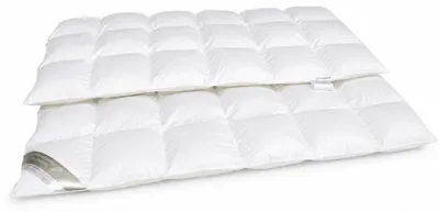 Produktbild von Betten Hofmann Premium Daunendecke Daunenbett 6x8 135x200 100% neue weiße Daunen