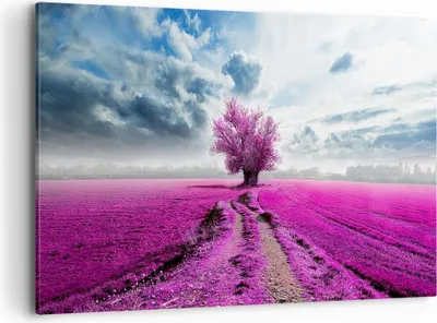 Produktbild von Bild auf Leinwand - Leinwandbild - Heidefeld Baum Wolken Landschaft - 120x80cm - Wand Bild - Wanddeko - Leinwanddruck - Bilder - Kunstdruck - Leinwand bilder - Wandkunst - AA120x80-2547