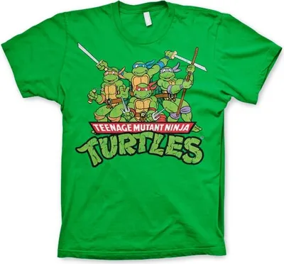Produktbild von Turtles Distressed Group T-shirt - Small - Green