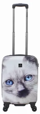 Produktbild von Saxoline Spinner 4 Rollen TSA Gr. S 55 cm White Cat