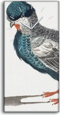 Produktbild von Wohnzimmer-Bild Leinwand Uhr Geräuschlos 30x60 Zeichnung Tier Vogel Kunst - weiße Hände