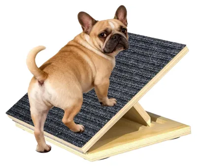 Image de Elzusha - Escalier réglable pour chiens, en bois