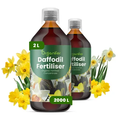 Produktbild von Narzissen Flüssigdünger 2x1L – 3-4-3 NPK – Flüssigdünger Für Zwiebelpflanzen – Für Blätter & Üppige Blüte – Fördert Wurzeln & Vitalität – Organifer