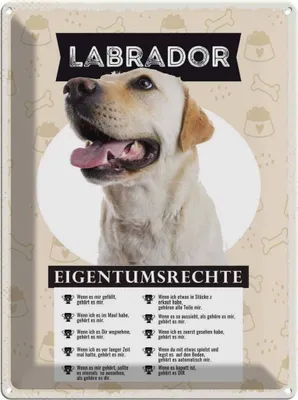 Produktbild von vianmo Blechschild 40x30 cm Labrador Eigentumsrechte Tier Haustier Hund