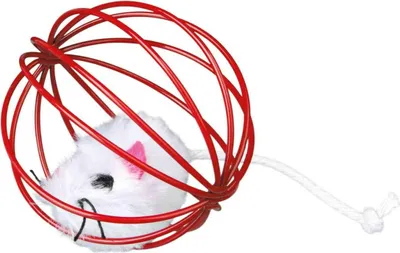 Image de Souris TRIXIE dans une boule de fil de fer