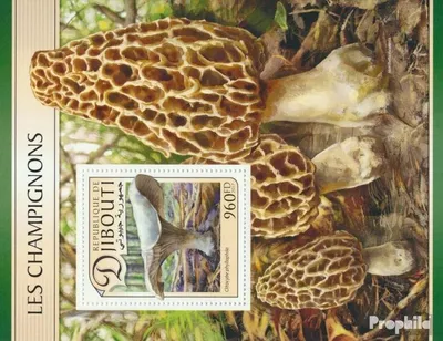 Produktbild von Briefmarken Dschibuti 2017 Mi Block 523 (kompl. Ausg.) postfrisch Pilze