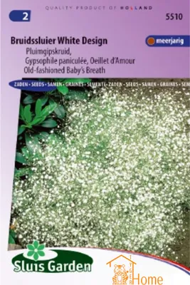 Obrázok produktu pre Wedding Veil White Design Seeds - Trvalka Plume Gypsophila pre romantické záhrady a kytice 80-100 cm Kvitnutie jún-august