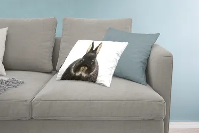 Produktbild von MuchoWow® Zierkissen Sofakissen Wohnzimmer Dekokissen 60x40 cm Kaninchen - Haustiere - Fell - Kopfkissen - Polster mit Foto