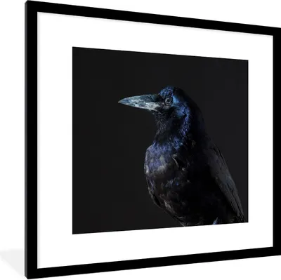 Produktbild von MuchoWow® Gerahmtes Poster Vogel - Tiere - Schwarz 40x40 cm - Poster mit Schwarzem Bilderrahmen Wandposter Rahmen Foto Bilder - Poster - Plakat im Rahmen