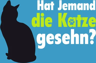 Produktbild von vianmo Holzschild 30x40 cm hat jemand die Katze gesehn