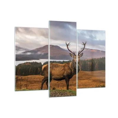 Produktbild von Bilder auf glas - 3 Teile - Rehe Wiese Berge - 130x100cm - Glasbilder - Wandbilder - Bilder - zum Aufhängen bereit - Wanddekoration aus Glas - Glas Bilder - Wandbild auf Glas - GCB130x100-4231
