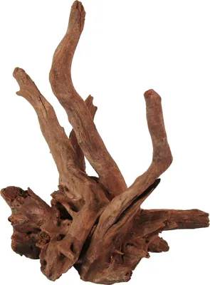 Produktbild von Orbit Corbo-Wurzel Nano 15-19 cm