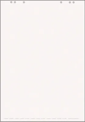 Produktbild von LANDRÉ 419000006 LANDR Flip-Chart-Block, 20 Blatt, blanko, 680 x 990 mm