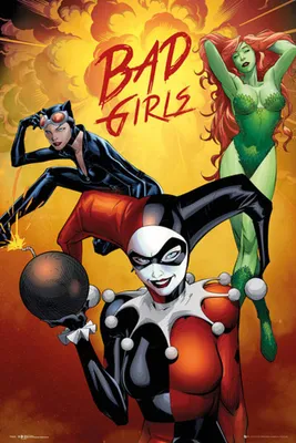 Obrázek produktu pro DC Comic - Plakát - Badgirls Group
