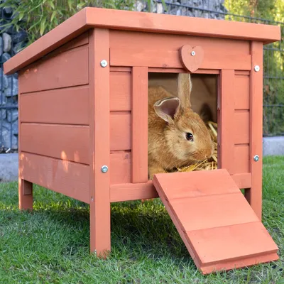 Produktbild von zooprinz Mini Hasenhaus Hasenstall mit Klappdach Wetterfest robustes Vollholz 51,5x43x42cm (BxHxT)