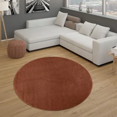 Image de Tapis Salon À poils courts Chambre à coucher Moderne Motif uni Marron Rouge Dimensions 160 cm Rond