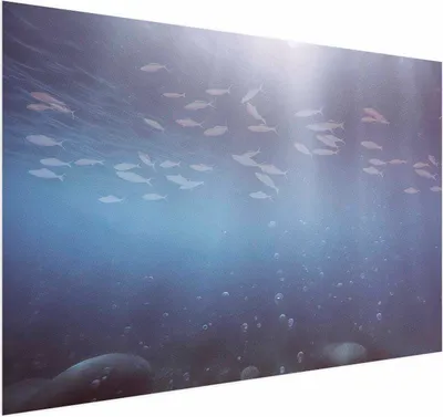 Produktbild von Posterpapier Poster - Fish in the Depths 42x29.7 cm Tiere g-C-10143-ao-a