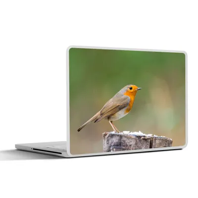 Produktbild von MuchoWow® Laptop Aufkleber Sticker Cover Tiere - Vogel - Rotkehlchen 30x21 cm - Sticker für Laptop - Selbstklebend