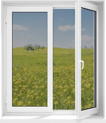 Produktbild von EASYmaxx Fenster-Fliegengitter Magic Klick Insektenschutz Magnetfenster ohne Bohren schwarz 150x130 cm