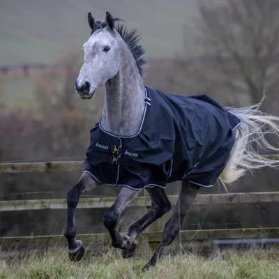 A grey horse wearing a black turnout rug is running in a field with a wooden fence in the background.